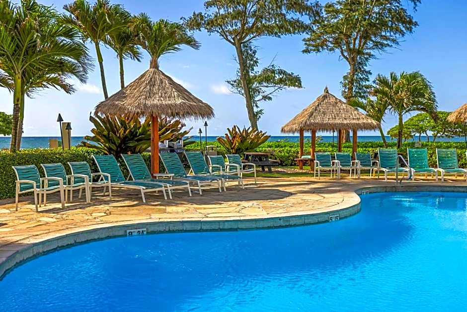 Aston Islander On The Beach