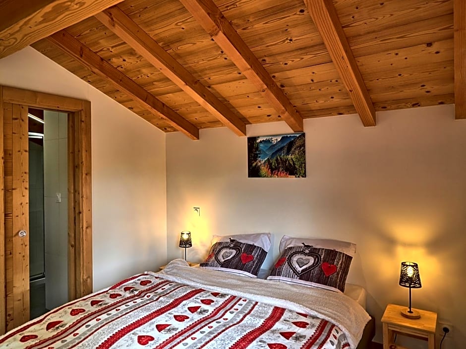Chalet Arpitan - rentals