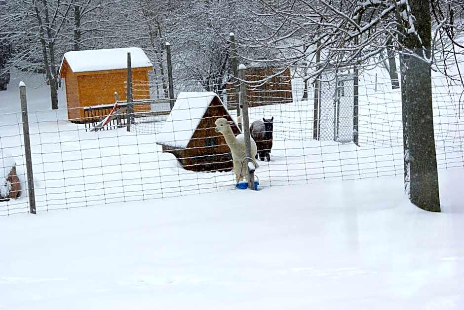 Liftlock Guest House