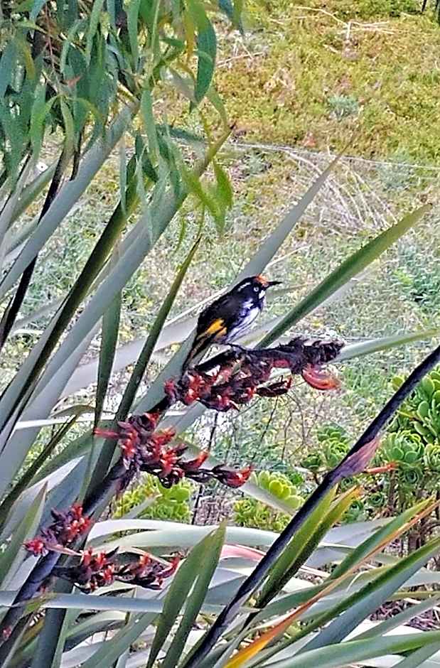 The View 2 bed unit with stunning Hobart outlook