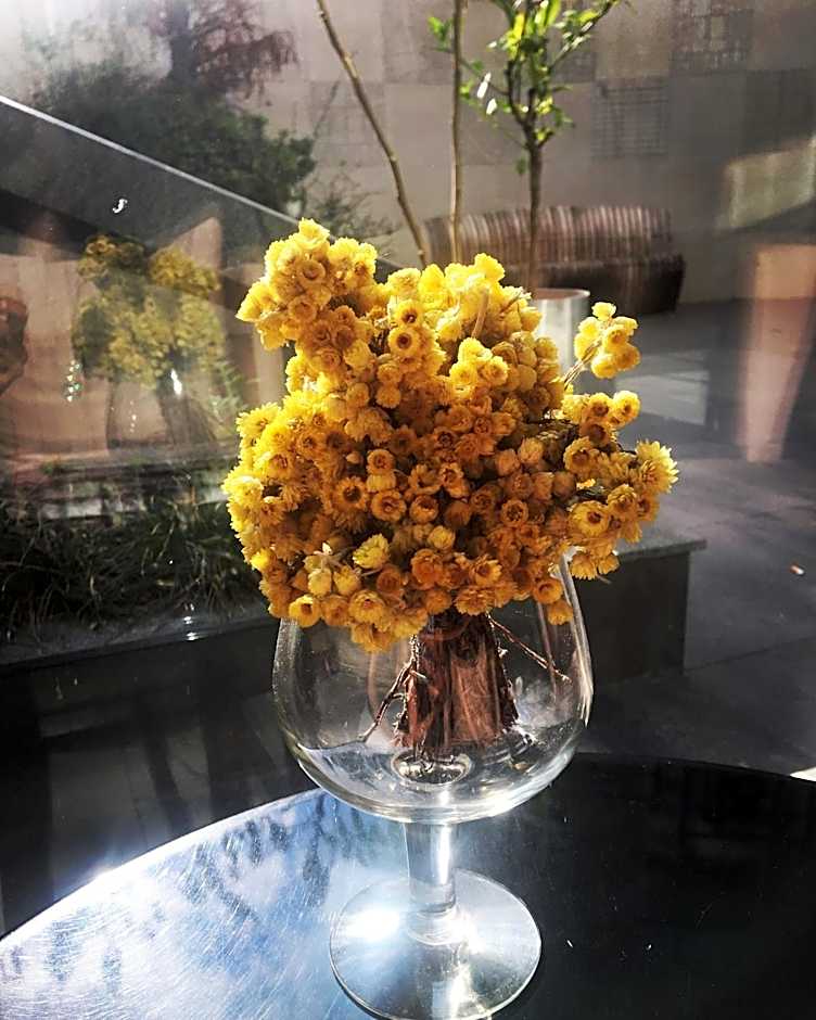 Taba Luxury Suites and Hotel