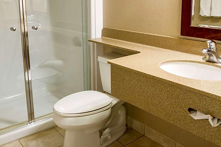 Quality Inn & Suites Downtown