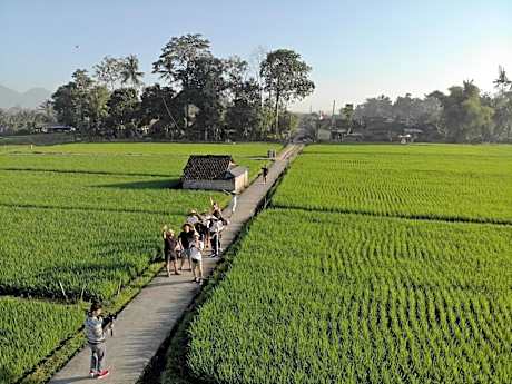 BAKUNGAN diJero Homestay