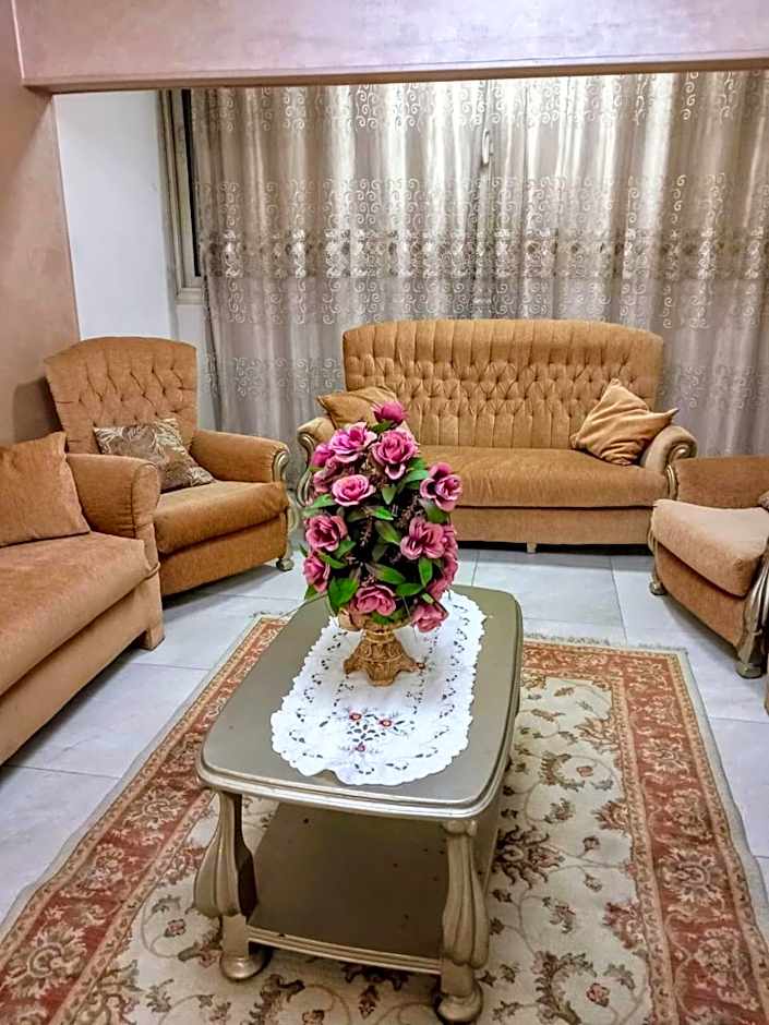 شقة مفروشة للايجار الطيران الرئيسي