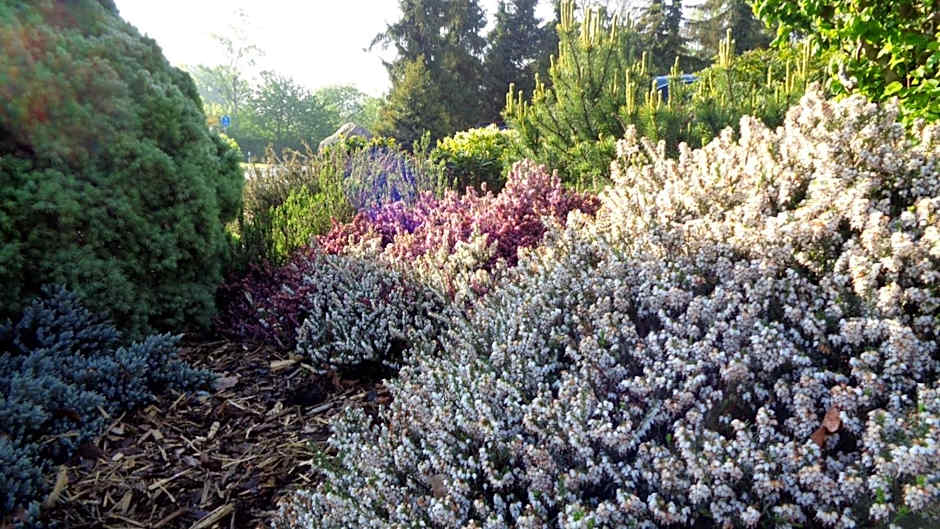 Hotel Garni Eichhornkobel