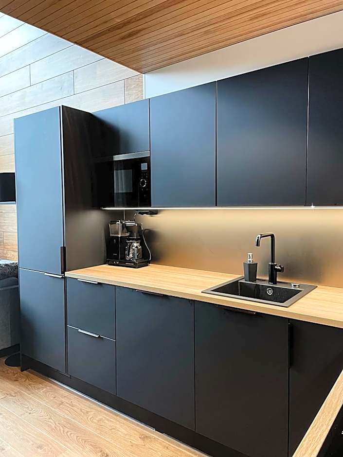 Levin Kunkku B penthouse