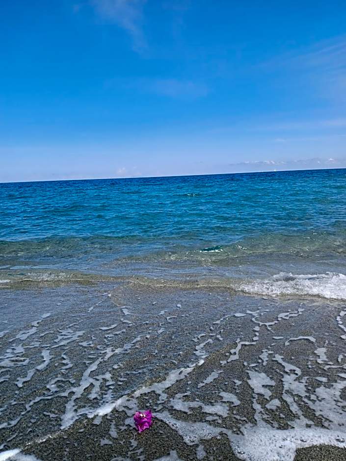 Terres de France - Les Hauts du Maquis