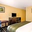 Quality Inn & Suites Albany