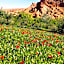 Auberge Kasbah Ait Marghad