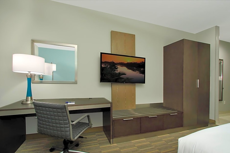 Holiday Inn Express & Suites - Lake Charles South Casino Area, an IHG Hotel