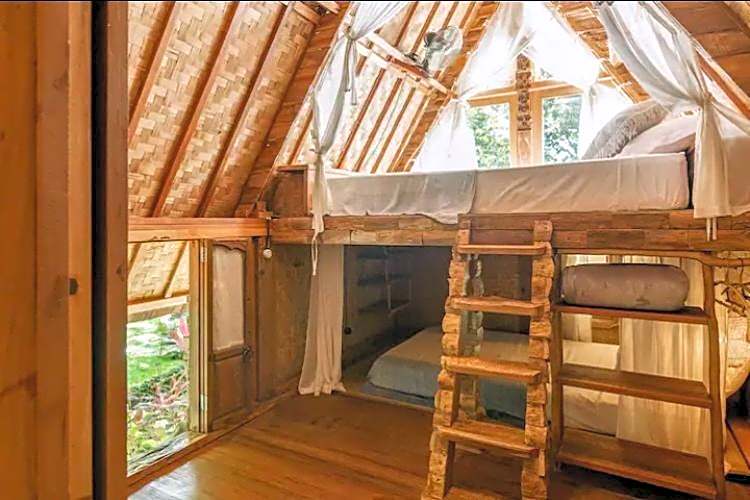 Roots Tree House