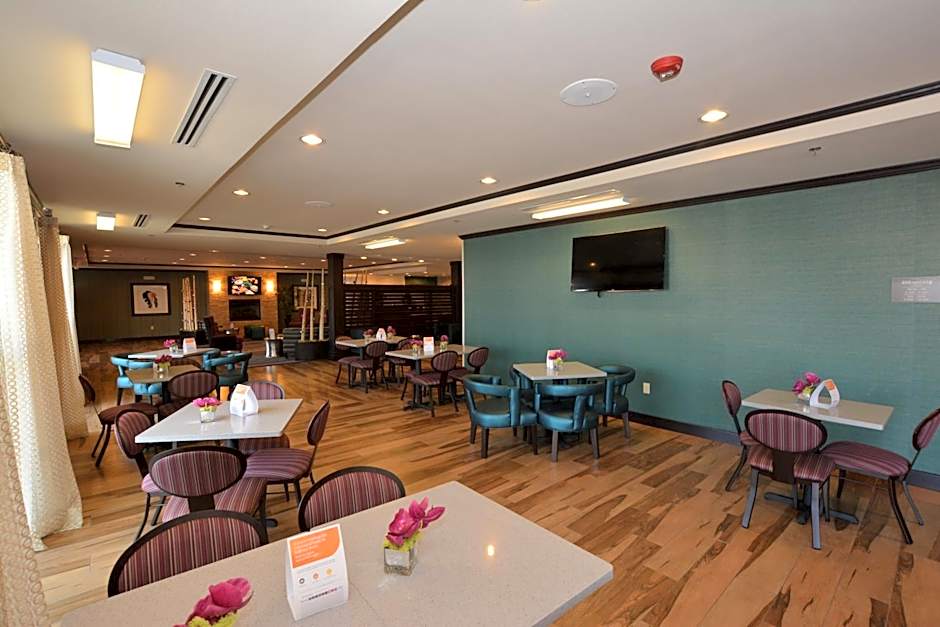 Comfort Inn & Suites - Newcastle