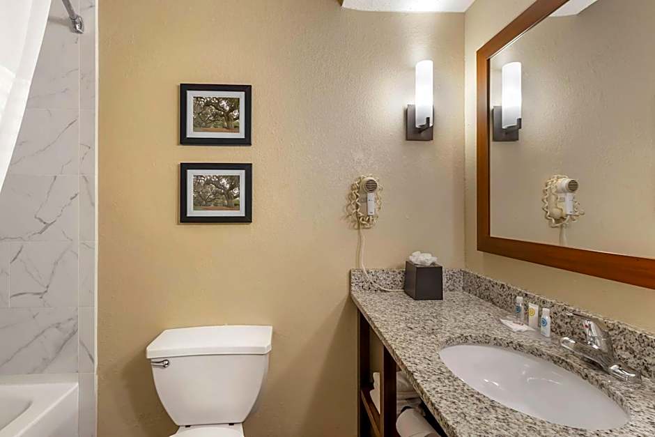 Comfort Suites At The University