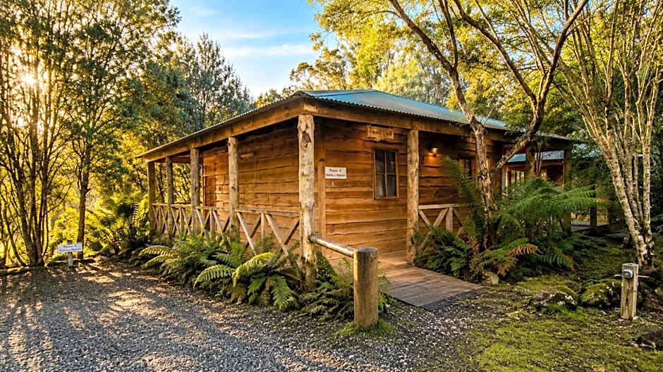 Cradle forest inn