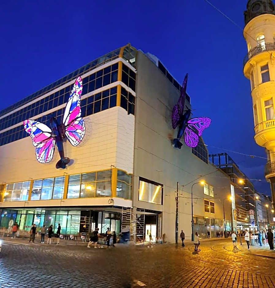 Alba Hostel