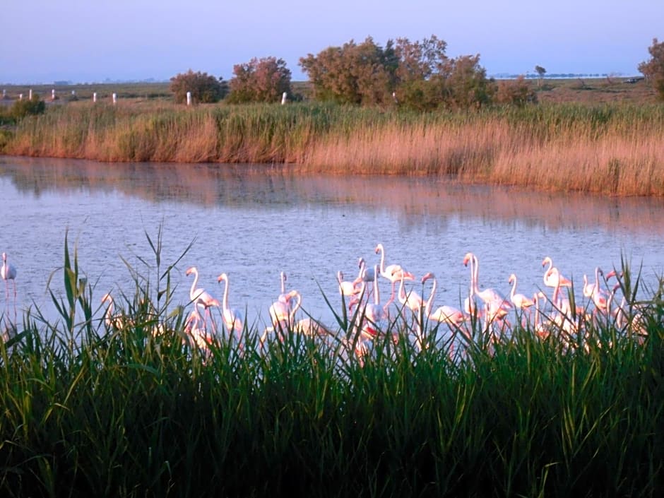 Chambre les flamants, climatisation, avec vue imprenable sur les étangs, petit déjeuner offert