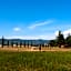 Camping Village Mugello Verde