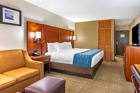 Standard Room, 1 King Bed, Accessible Roll-In Shower, Non Smoking