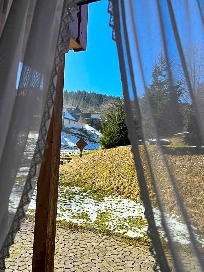 Schwarzwald-Hotel Kraeutle