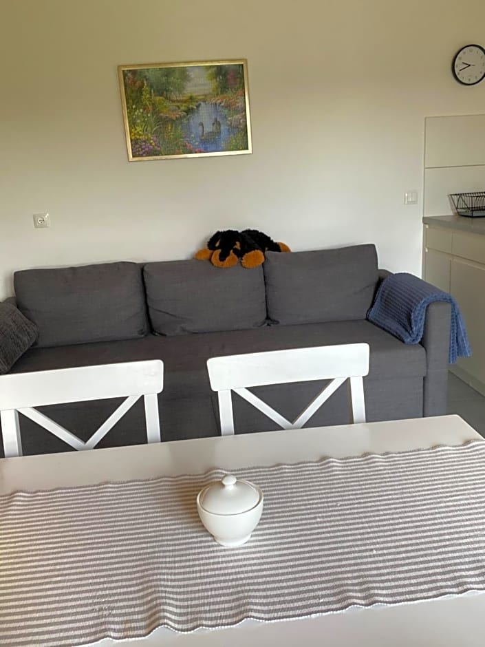 Domki, apartament, pokój, Limanowa