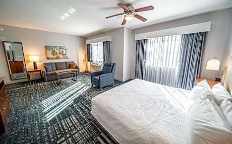 1 Kng Mobilty/hearing Access Ri Shwr Studio Ns Vis Fire Alarm/door/phn Alert-kitchen-sofabed Free Wi