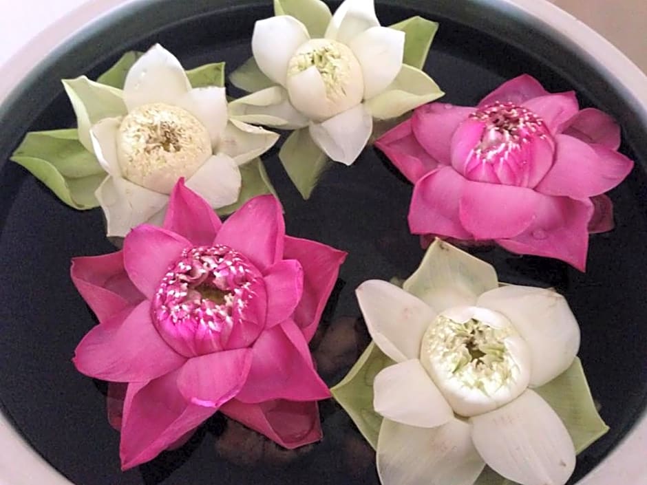 Maison Arnica Hotel and Restaurant 