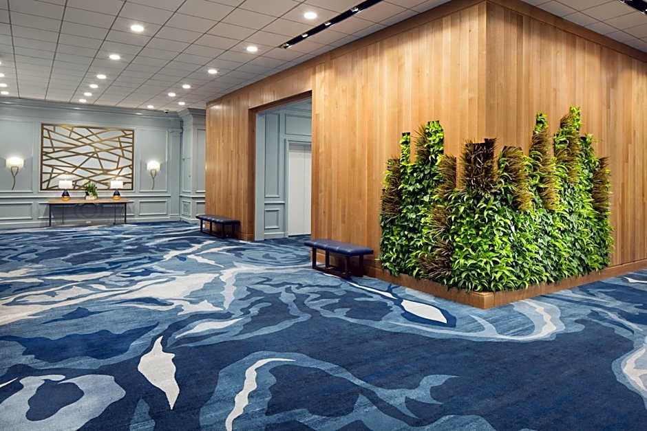 The Westin Oaks Houston At The Galleria