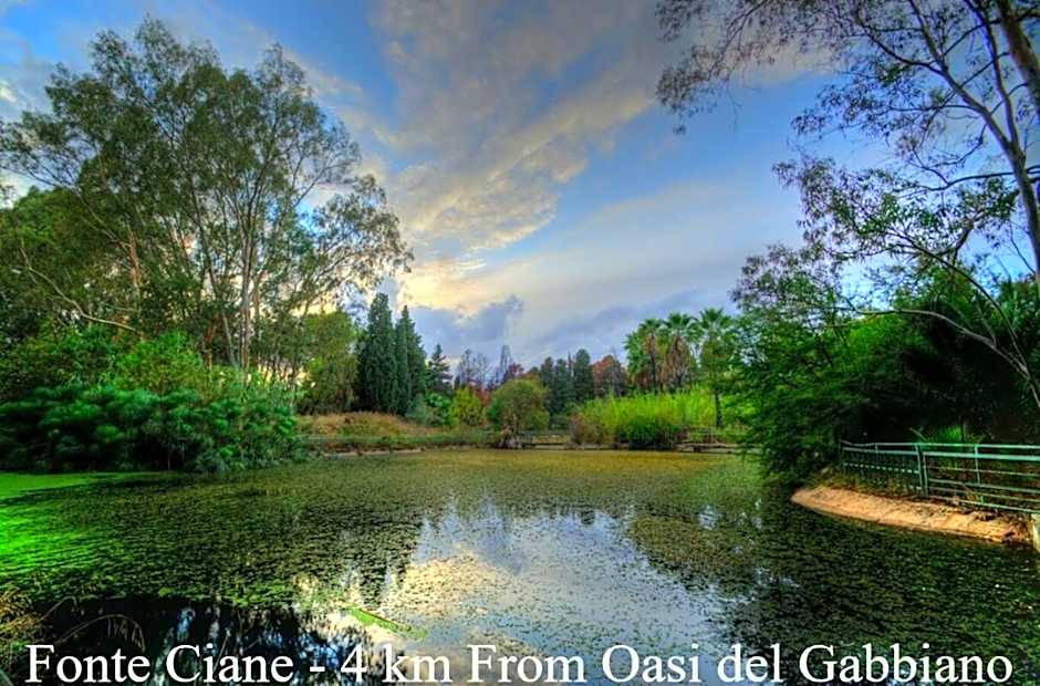 Oasi Del Gabbiano