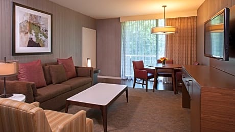 One-Bedroom King Suite