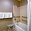 SpringHill Suites by Marriott Phoenix Glendale/Peoria