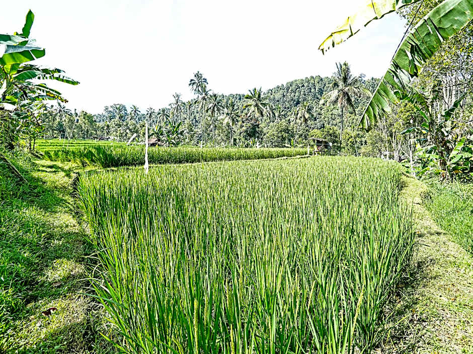OYO Homes 91094 Desa Wisata Banyuatis