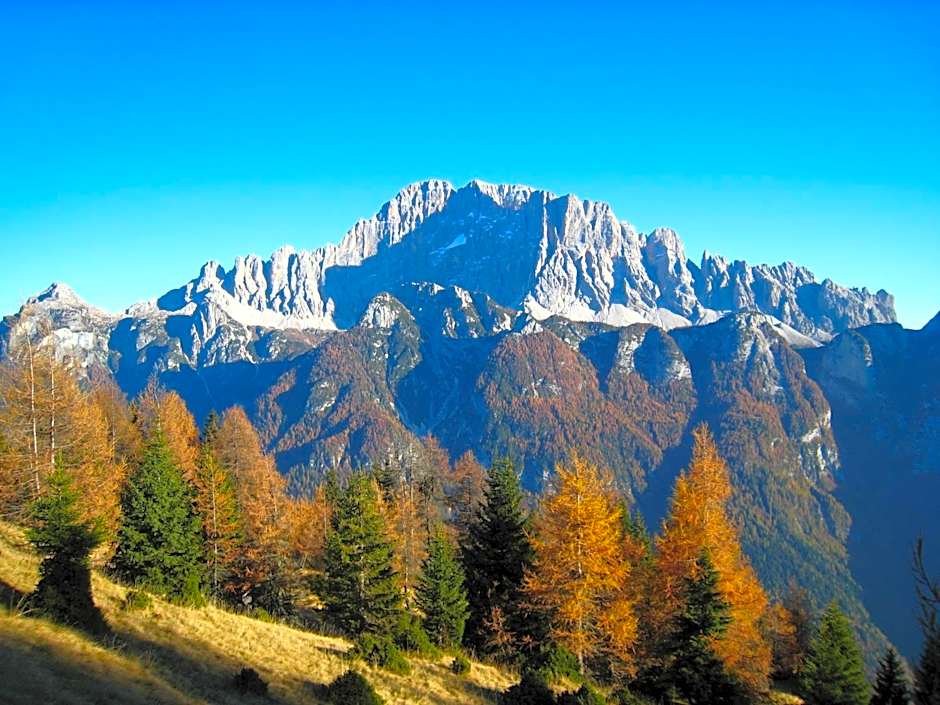 Hotel & Ristorante Baita Dovich