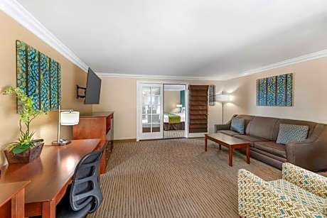 One-Bedroom King Suite