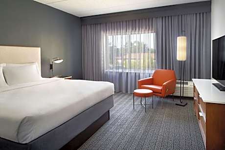 One-Bedroom Suite with King Bed and Sofa Bed