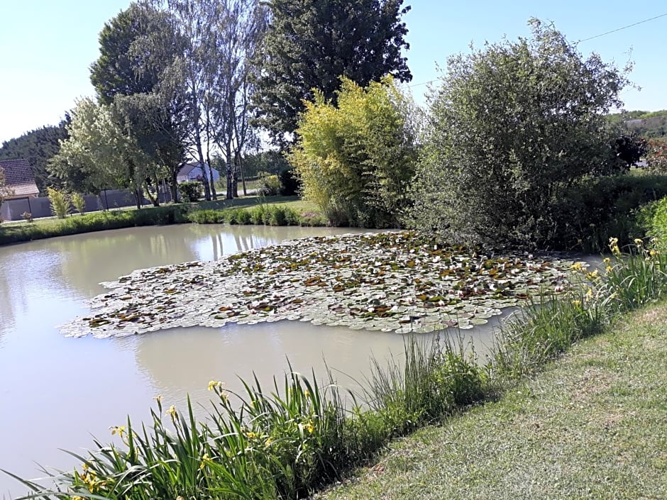 Les ROSEAUX A la Campagne au centre des chateaux de la Loire