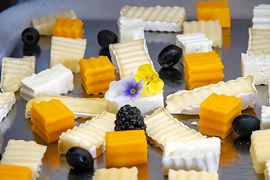 Hotel Stein Collection