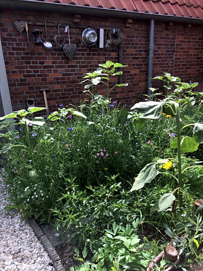 Bed & Breakfast Yerseke