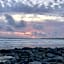 Ocean View Guestrooms