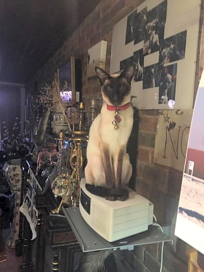 Chiswick Riviera with free parking