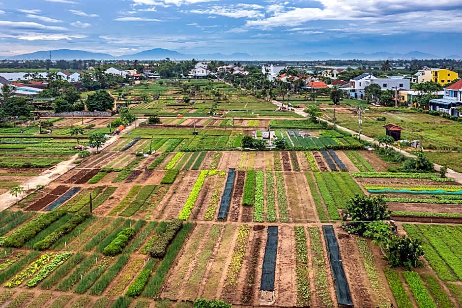 Tropical Sands Villa – Hoi An, MN