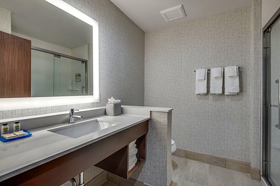 Holiday Inn Express & Suites Dallas North - Addison