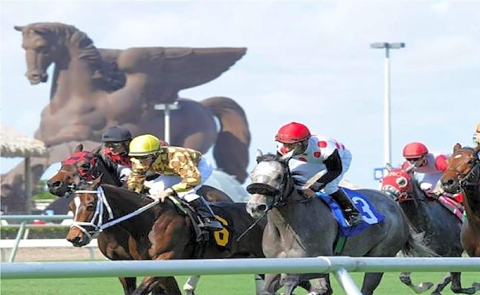 Bposhtels Hollywood Florida