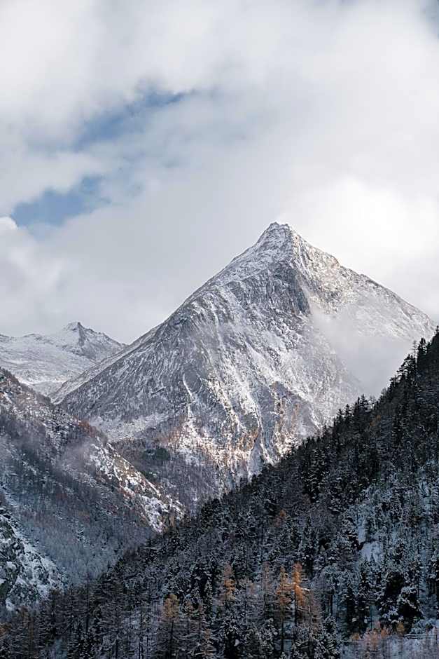 Waldhotel Fletschhorn Panoramic Retreat in Saas Fee
