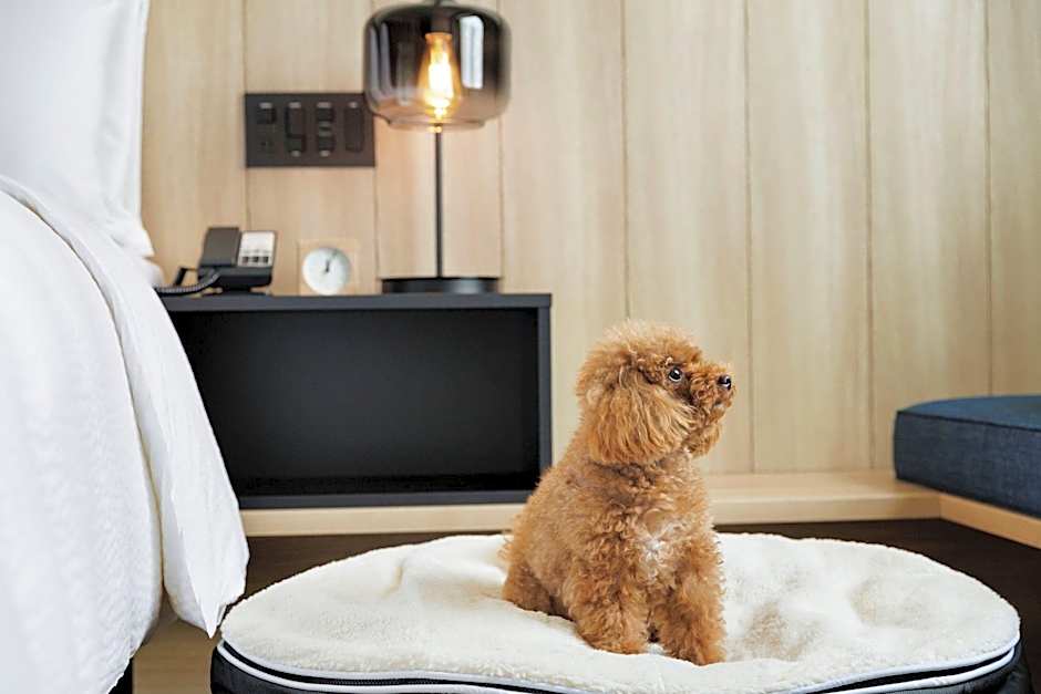 Fairfield by Marriott Gifu Seiryu Satoyama Park