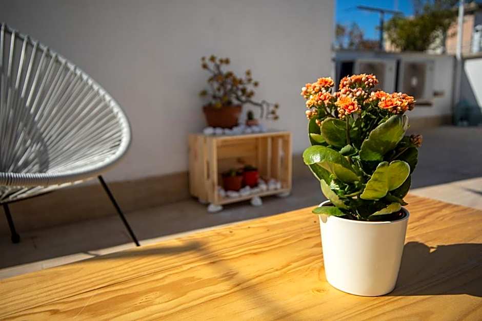 Le dimore delle stelle