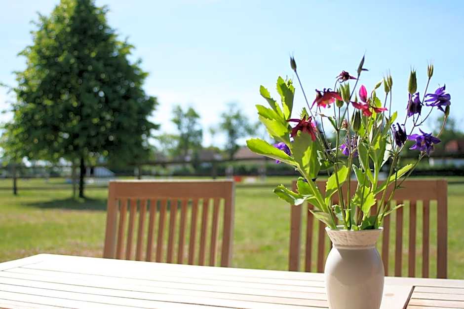 Bernsteinland Hirschburg