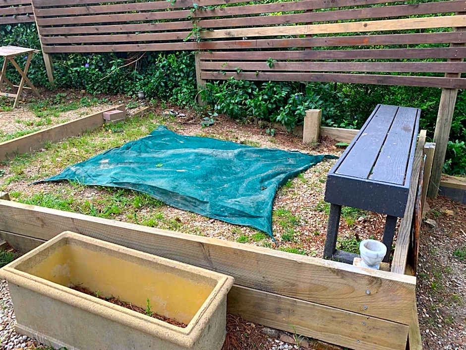 Flying Fox Backpackers