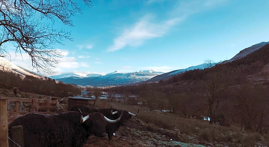 Hillside Log cabin, Ardoch Lodge, Strathyre