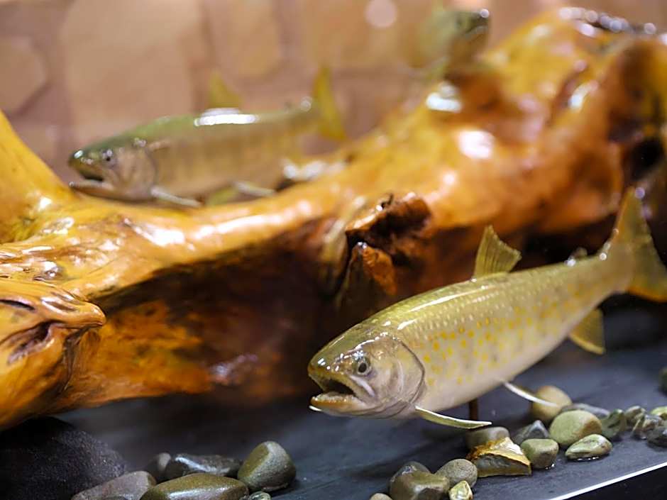 信州安曇野穂高温泉郷　旅館　山のたこ平