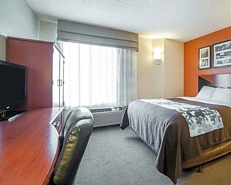 1 Queen Bed, Non-Smoking